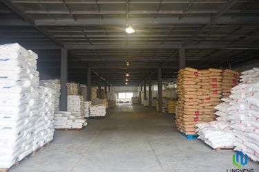 Xiamen Lingneng Technology Co., Ltd.