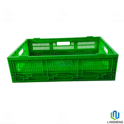 Fruit / Vegetable 36L Folding Crate Box Plastic Collapsible Storage Crate With Mechanical Handle