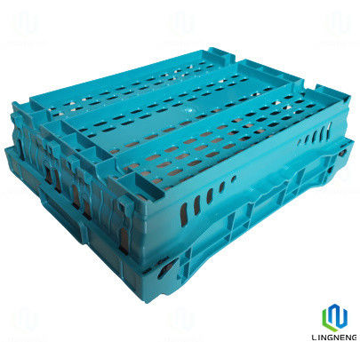 8L High quality euro stackable vented plastic mushroom tomato returnable agriculture crate
