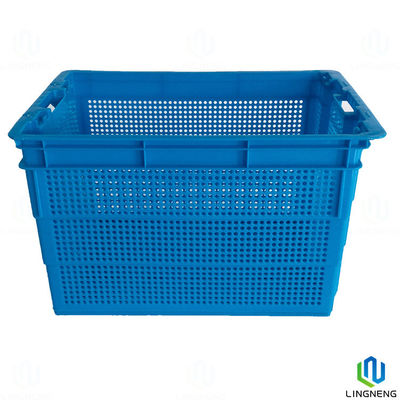 Versatile Vegetable Storage Crates Stackable Plastic Agricultural Crates For Storing Fresh Produce
