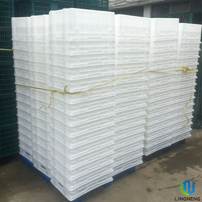 Farm Lightweight Plastic Crates Manufacturing for Baby Chick