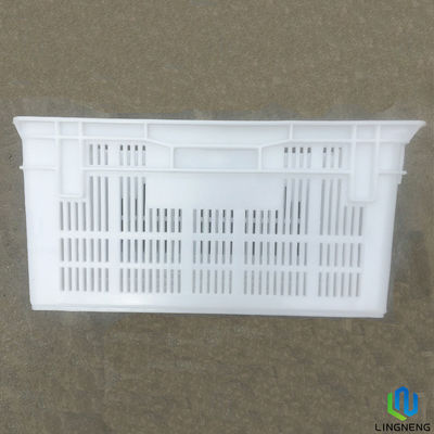 Farm Lightweight Plastic Crates Manufacturing for Baby Chick