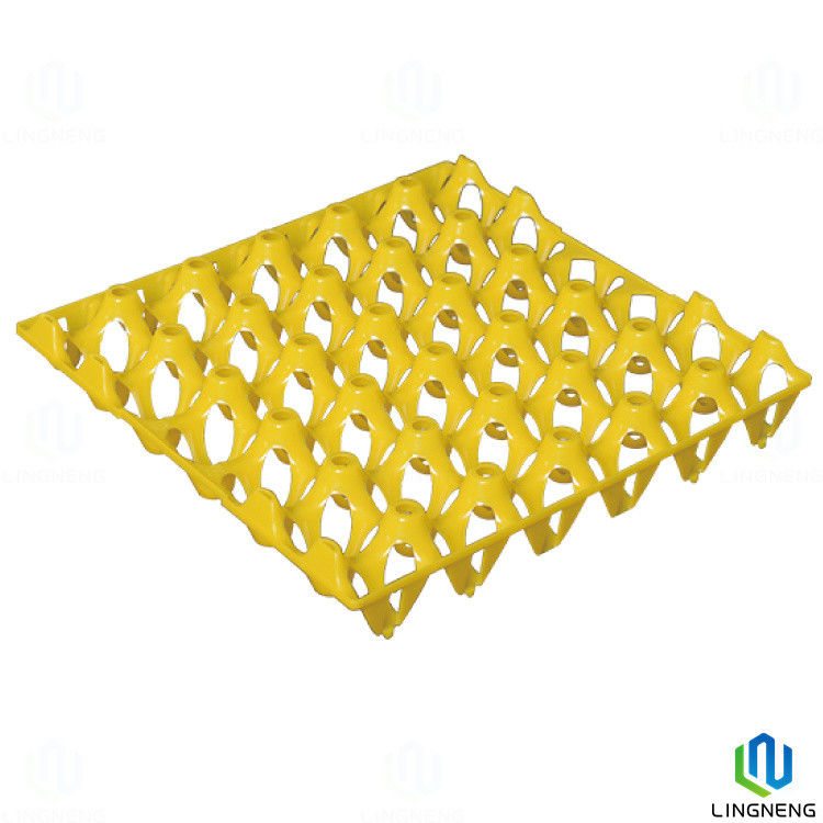 Rectangle Stackable Transparent Plastic Egg Crate Color Customized