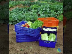 Caixinha de caixa dobrável leve de 27L de frutas e vegetais caixa de rede com alças